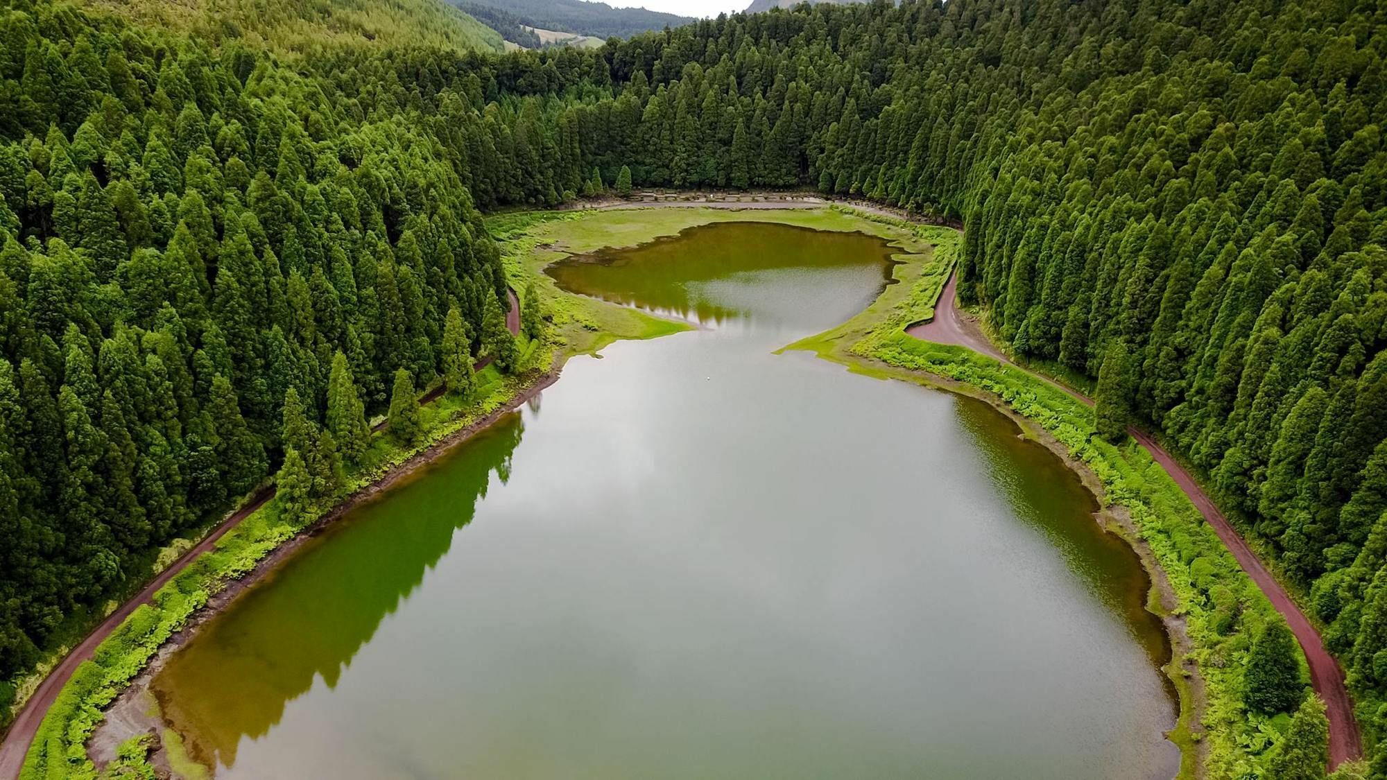 فندق Royal Passal Ponta Delgada المظهر الخارجي الصورة